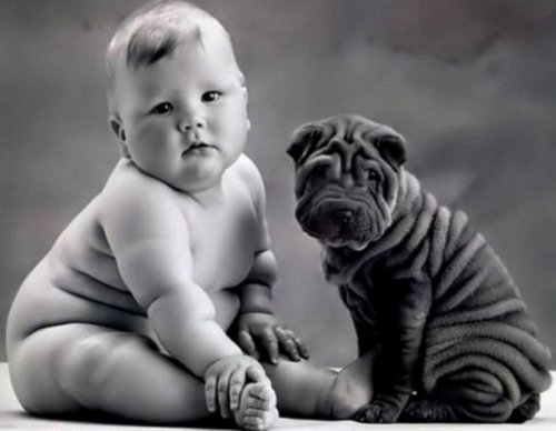Малыши и собаки, похожие как две капли воды (10 фото)