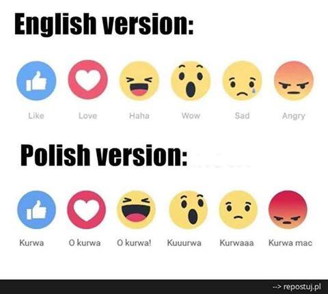 Прикольные картинки и фото дня (43 шт)