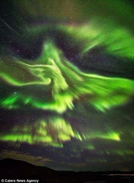 Северное сияние в виде птицы Феникс над Исландией (5 фото)