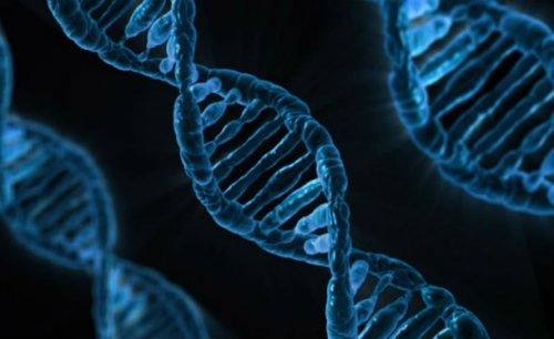 Топ-25: Интересные факты про ДНК, которые вы могли не знать