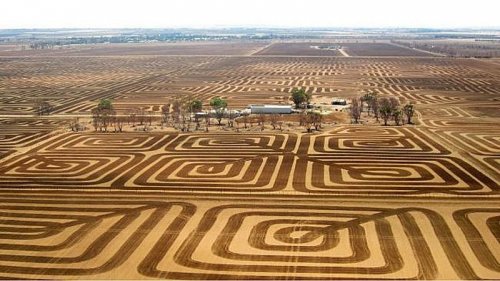 Австралийский фермер борется c эрозией почвы с помощью лэнд-арта (2 фото)