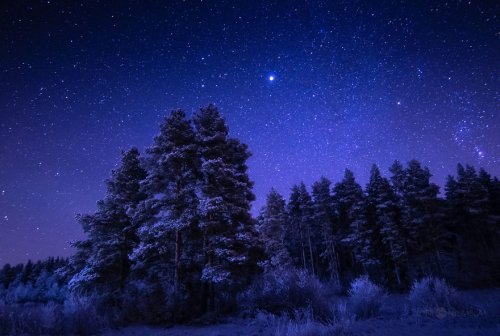 Ночное небо Финляндии через объектив Джони Ньемела (12 фото)