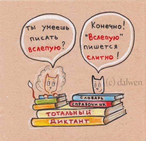 Грамотные котики в иллюстрациях Анны Беловицкой (15 фото)