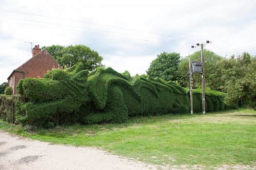 Живая изгородь в форме дракона (6 фото)