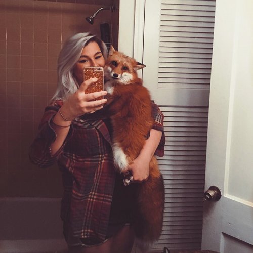 Самая счастливая лисица Джунипер покоряет Instagram (21 фото)