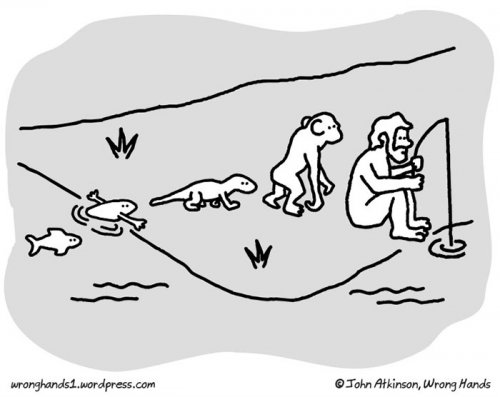Сатирические иллюстрации об эволюции (25 шт)