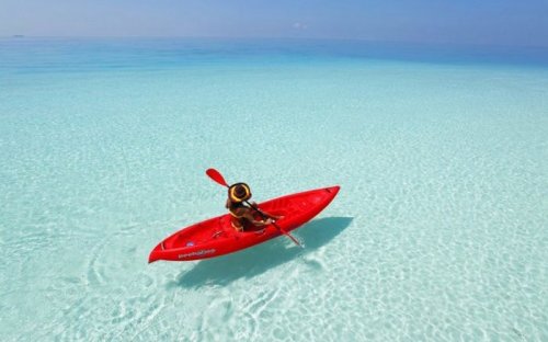 Прикольные картинки и фото дня (43 шт)