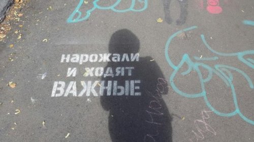 Прикольные картинки и фото дня (43 шт)