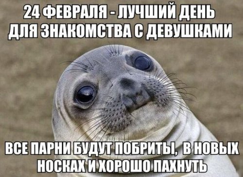 Прикольные картинки и фото дня (43 шт)