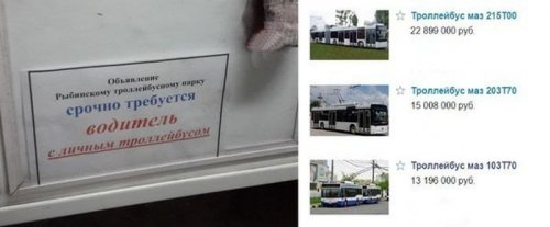 Прикольные картинки и фото дня (43 шт)