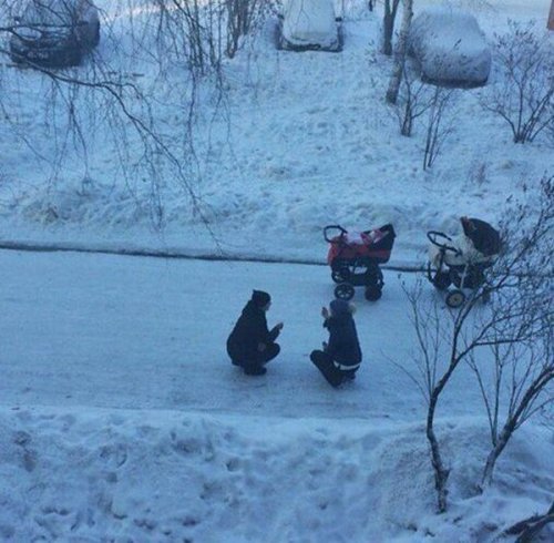 Прикольные картинки и фото дня (43 шт)