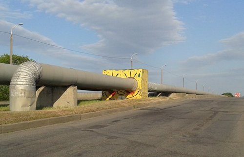 Прикольные картинки и фото дня (43 шт)