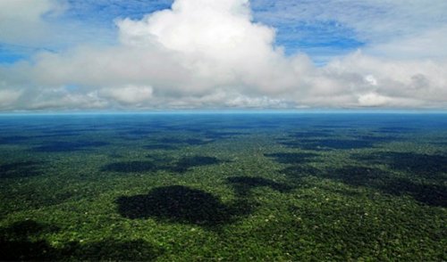 Топ-25: Невероятные факты про Амазонку, которые делают её уникальнейшим местом на Земле