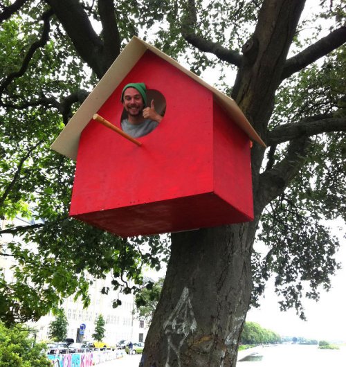 Художник строит скворечники, чтобы птицы не улетали из городов (14 фото)