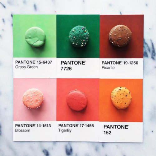 Кулинарная цветовая модель Pantone от Люси Литман (25 фото)
