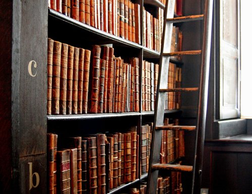 Впечатляющая библиотека Тринити-колледжа в Ирландии (8 фото)