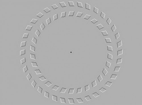 Оптические иллюзии, которые способны взорвать мозг (15 фото)