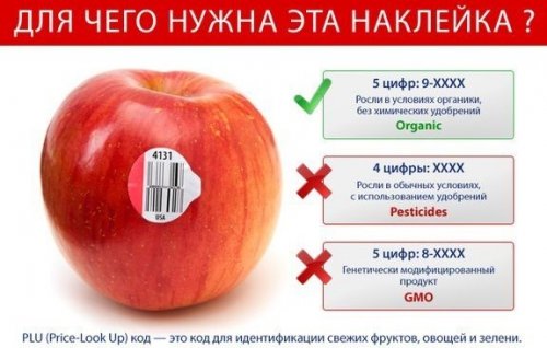 Наклейки на фруктах, овощах и зелени: что они означают? (3 фото)