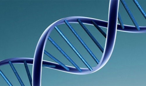 Топ-25: Факты про ДНК, благодаря которым вы узнаете о себе немного больше