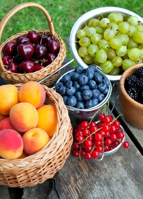 Топ-25: Сладкие факты про фрукты, которые вы не знали