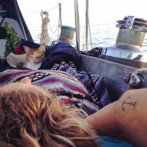 Девушка отправилась в морское путешествие со своей кошкой (11 фото)