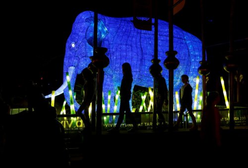 Световые скульптуры животных в зоопарке Таронга в Сиднее (9 фото)