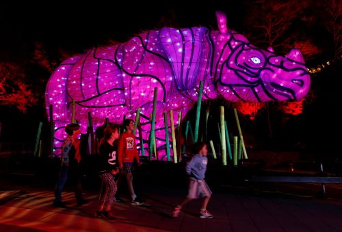 Световые скульптуры животных в зоопарке Таронга в Сиднее (9 фото)