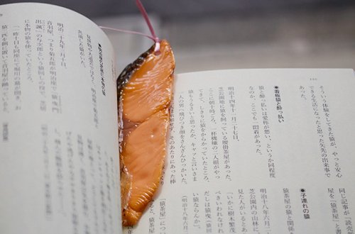 Реалистичные аппетитные закладки для книг (8 фото)