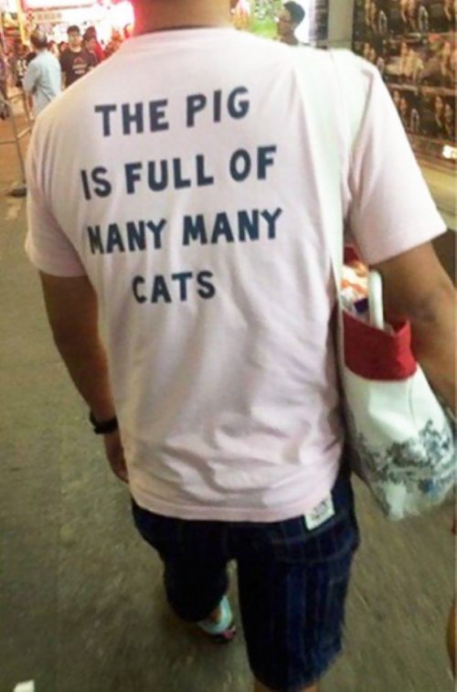 Когда покупаешь футболку с надписью, не зная английского (30 фото)