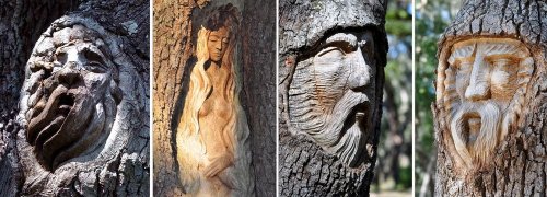 Топ-9: Мёртвые деревья, превращённые в искусство (20 фото)