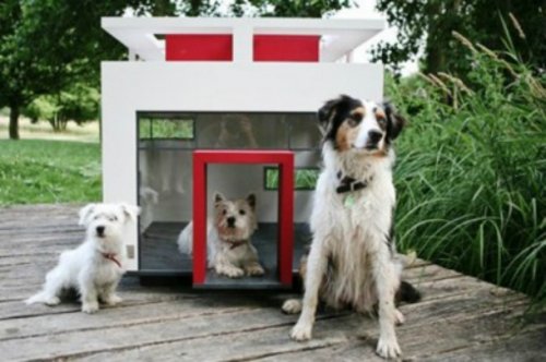 Собачьи будки, о которых мечтает каждая собака (24 фото)