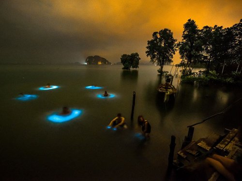 Потрясающая фотография со светящимся фитопланктоном