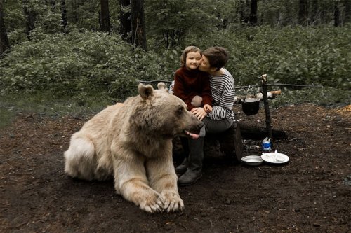 Домашний медведь Степан снялся в фотосессии (8 фото)