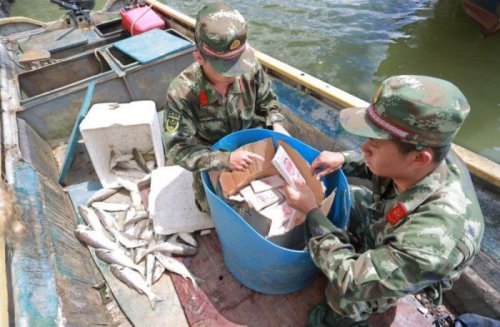 Необычный улов китайских рыбаков (4 фото)