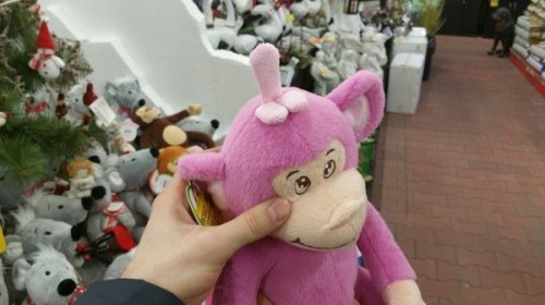 Маразмы в магазинах: самые странные игрушки (13 фото)