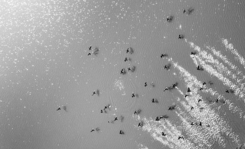 Бангладеш с высоты птичьего полёта в фотографиях лётчика Шамима Шорифа Сусома (12 фото)