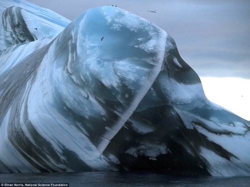Завораживающие фотографии айсбергов (19 шт)