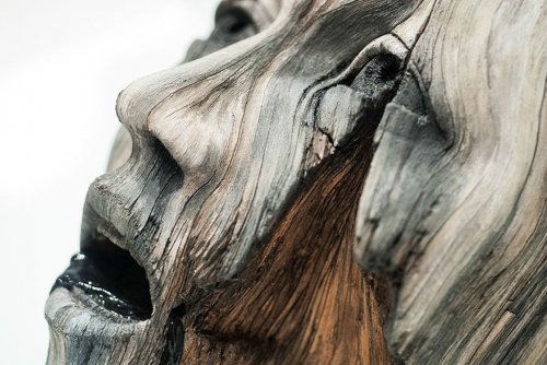 Удивительные скульптуры Кристофера Дэвида Уайта (17 фото)