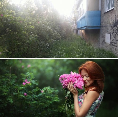 Разница между фотографиями, сделанными обычными людьми и профессионалами (4 фото)