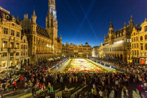Гигантский ковёр из бегоний на центральной площади Брюсселя (21 фото)