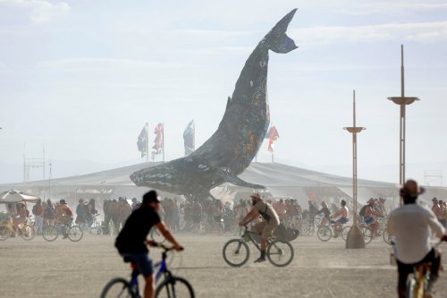 Burning Man-2016 (24 фото)