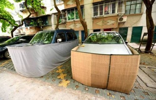 Как в Китае автомобили от грызунов защищают (8 фото)