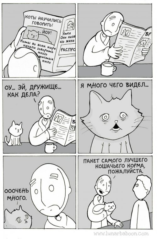 Комиксы про кошек от Lunarbaboon (9 шт)
