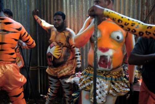 "Тигриный" парад Пуликкали на фестивале в Индии (12 фото)