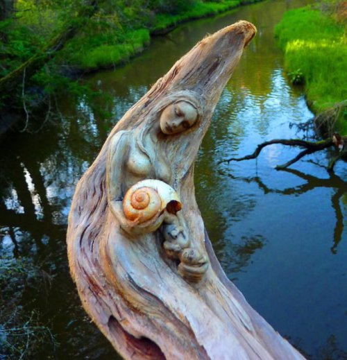 Скульптуры Дебры Бернье из высохших деревьев (17 фото)