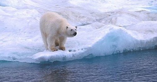 Топ-10: Невероятные истории выживания в Арктике