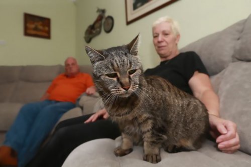 Знакомьтесь, Мускат — самый старый кот в мире (8 фото)