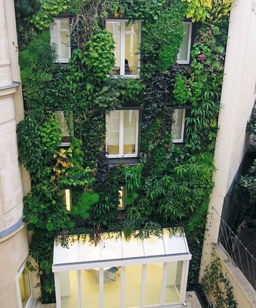 Париж озеленяется (6 фото)