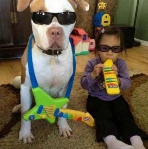 Забавные собаки, копирующие детей (10 фото)