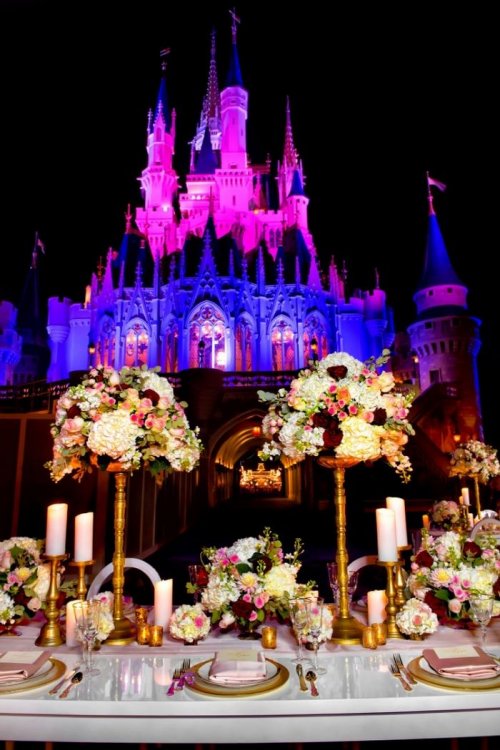 Ночная свадьба в Disney World (9 фото + видео)